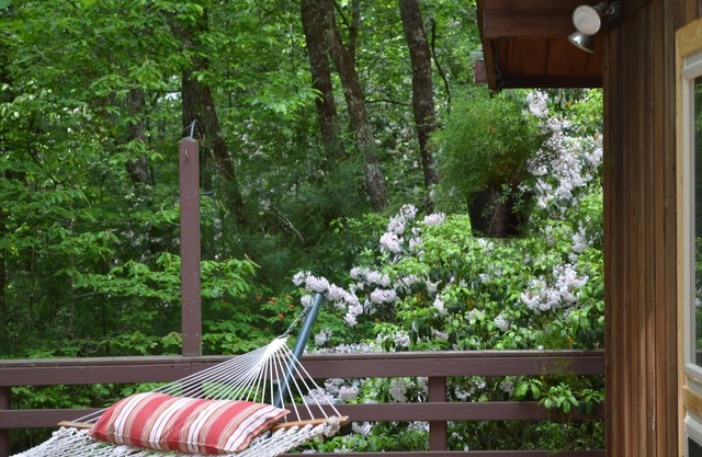 Casa de cedro de Lindal ubicada al lado del Bosque Recreativo Estatal de Dupont.