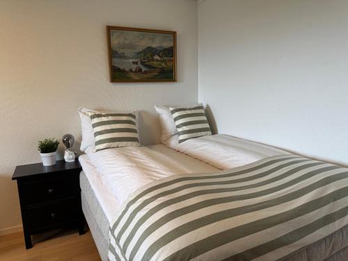 Liten leilighet med hage og stort bad