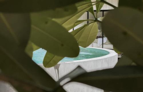 Little Lani - Modern Beach Shack