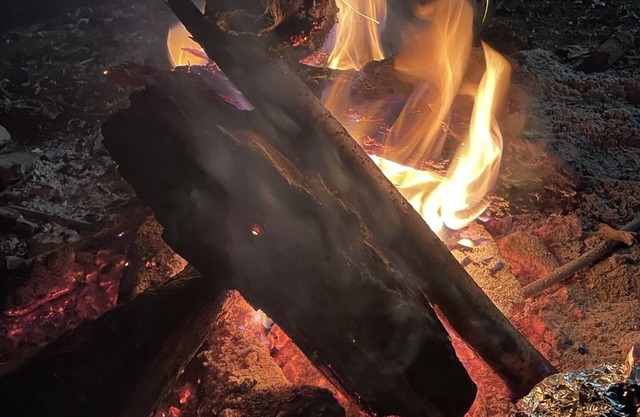 Little Off Grid Cabin! Close to Downtown Leipers Fork!