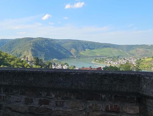 Little Rhine View Château - Harry Apartment