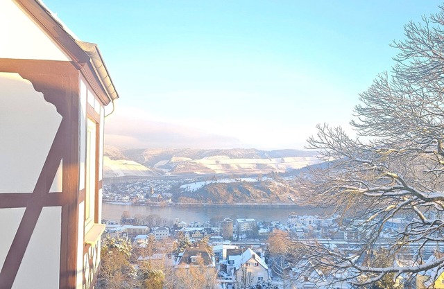 Little Rhine View Château (EG) : Apartment with view of the largest Rhine bend