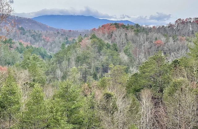 Little Smoky Hideaway (New Hot tub, Appliances, Hand Made King Size Mattress wit