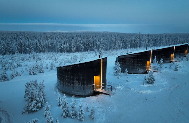 Livo Arctic