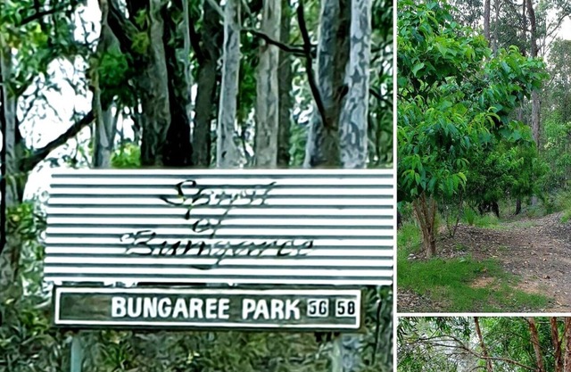 Log cabin in private bush setting