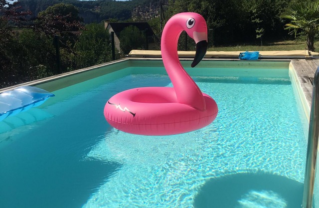 LOG HOME LA ROQUE GAGEAC LA SALAMANDRE 2