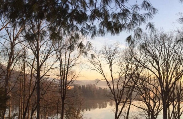 Lago Junaluska Jewel! Se admiten mascotas Estudio Apt con fabulosas vistas al lago y la montaña