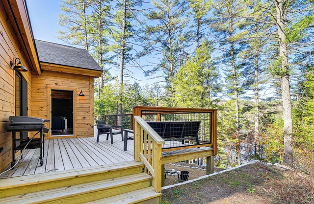 Loon Lake View: Newly Built Log Cabin w/ Fire Pit!
