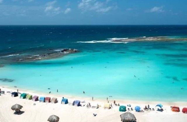 Love and Peace Vacation Rental Aruba