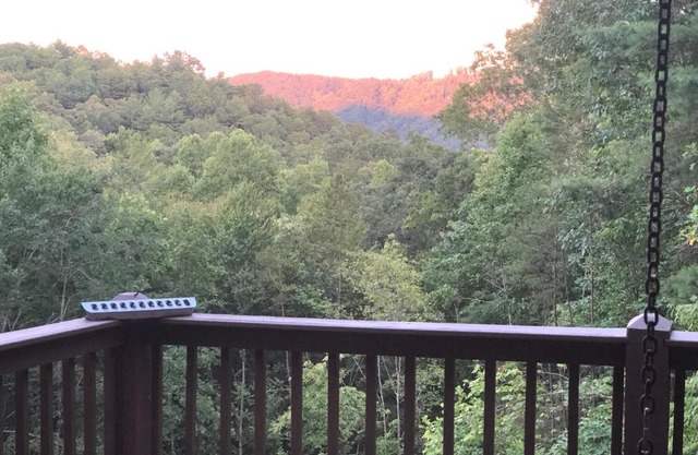 Love Nest in Blue Ridge