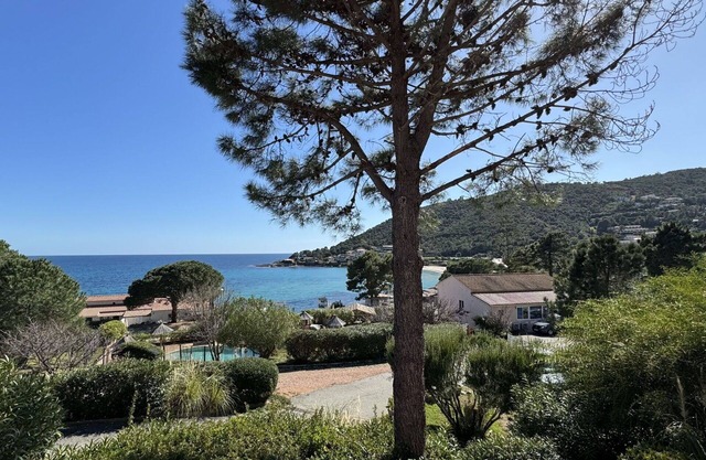 Bonito apartamento con piscina, WIFI, A/C, terraza, mascotas permitida y vista panorámica
