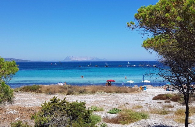 Acogedor apartamento para 6 personas con WIFI, A/C, TV, patio y mascotas permitida