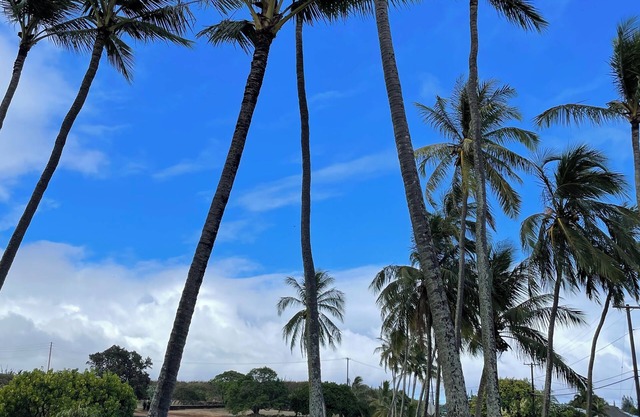 Lovely beach view condo in Poipu!