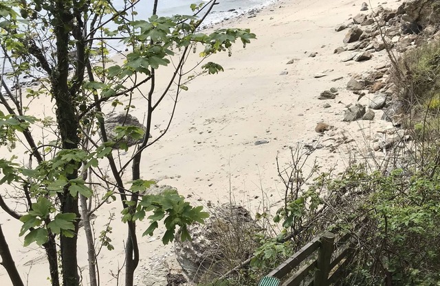 Lovely Coastal house with gated access to private beach