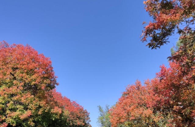 Lovely studio, walking to Stanford, quiet, safe & convenient, plus free parking