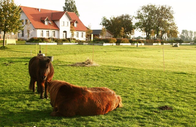 Casa de campo reformada con gusto en una granja ecológica, a solo 1 km del ferry de Rügen