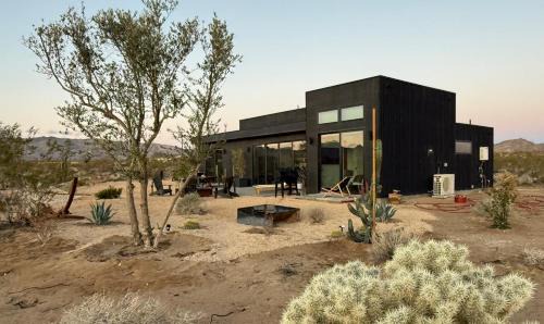 LunaWood Joshua Tree