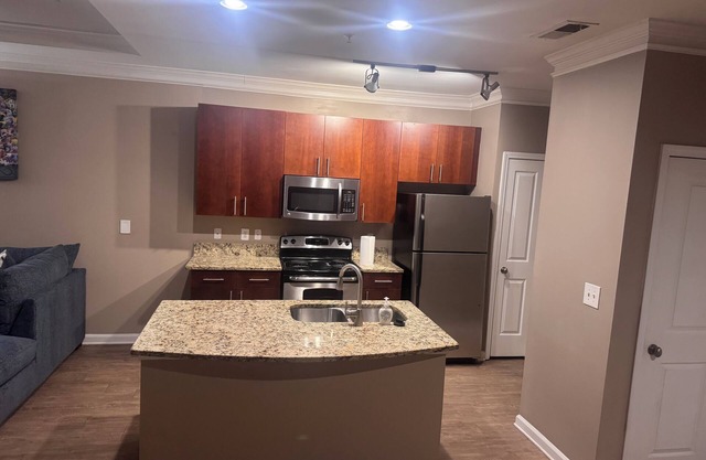 Luxurious 1 bedroom Apartment