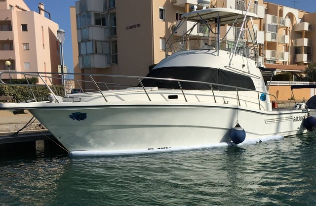 Lujoso barco cerca de la playa