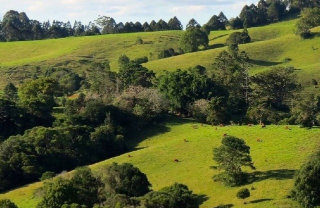 Luxury Accommodation - Lewis