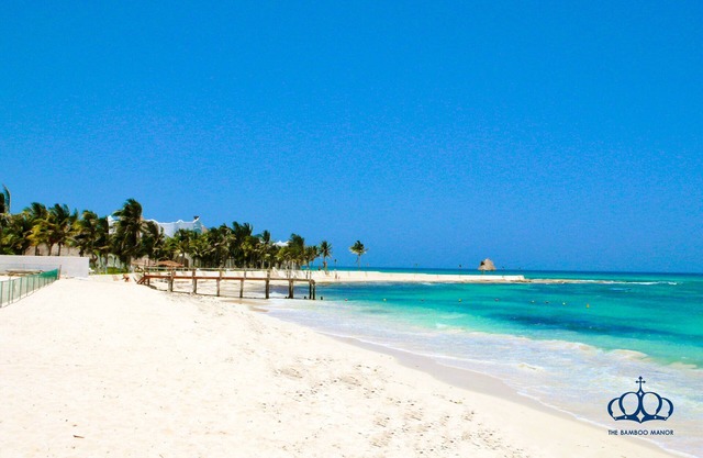 Bamboo Manor. Villa Tropical a 2 minutos de la playa caminando!