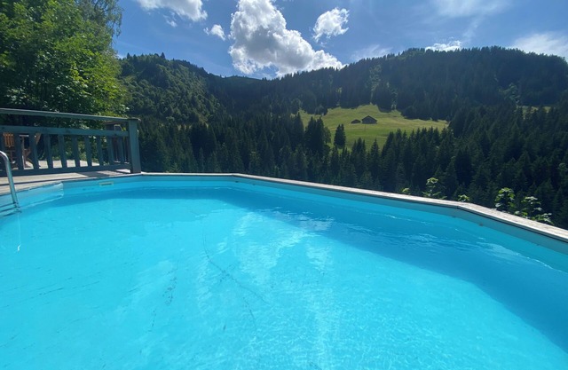 GRAN CHALET FAMILIAR CON PISCINA 11 O 16 PERSONAS
