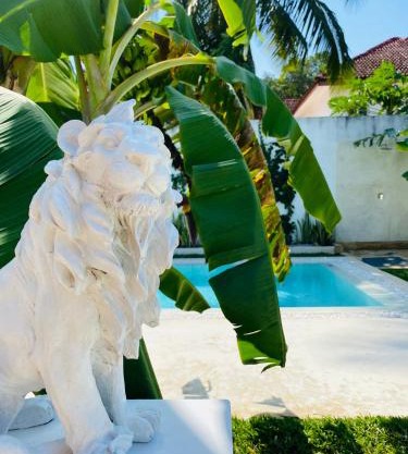 Luxury LIONS VILLAS ZANZIBAR - with Private Cook&Infinity Pools