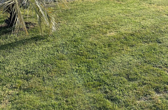 Maison sur le Bassin d Arcachon