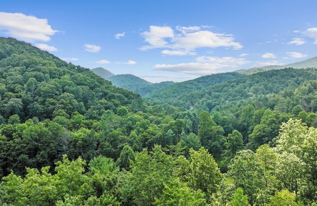 Majestic Views in this Modern Rustic Luxury Cabin