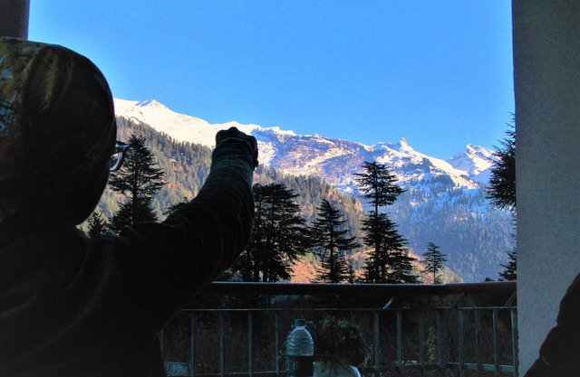 Manali Top Inn and Cafe