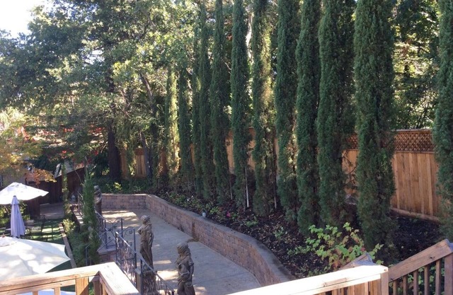 Mankas Barrel Room Cottage located in the hidden gem of Suisun Valley, CA