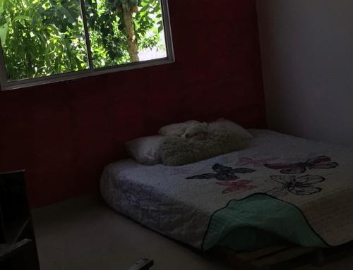 mar y luna apartment