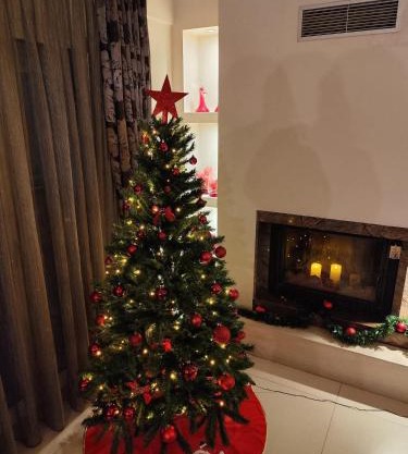 Mary's Modern and Elegant apartment