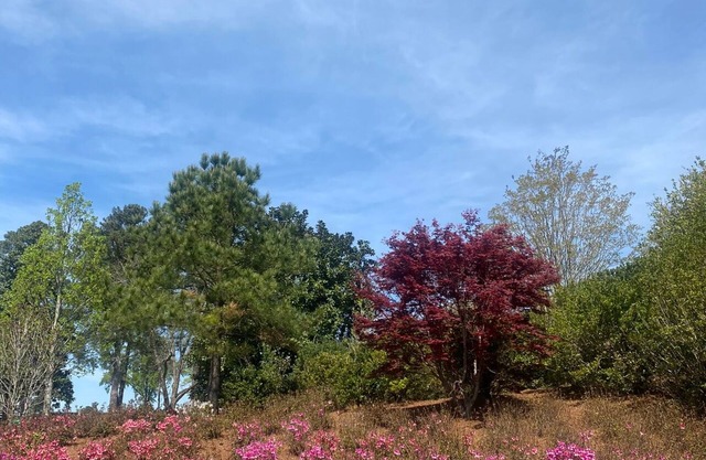 Masters rental Luxury Charming 4-bedroom farmhouse with WiFi, AC Grovetown