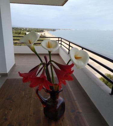 Mediterrani - Primera linea de mar