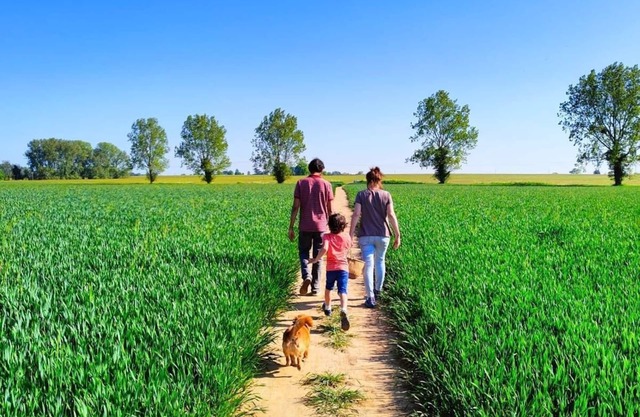 Merchant's Nook 1 bedroom property and private garden in Upton, Broadland