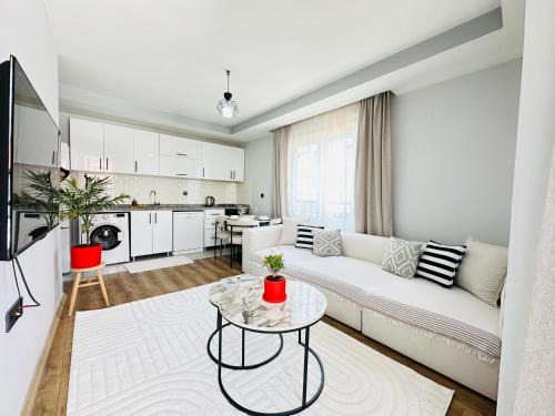 merkezde 2 odalı minimalist ev