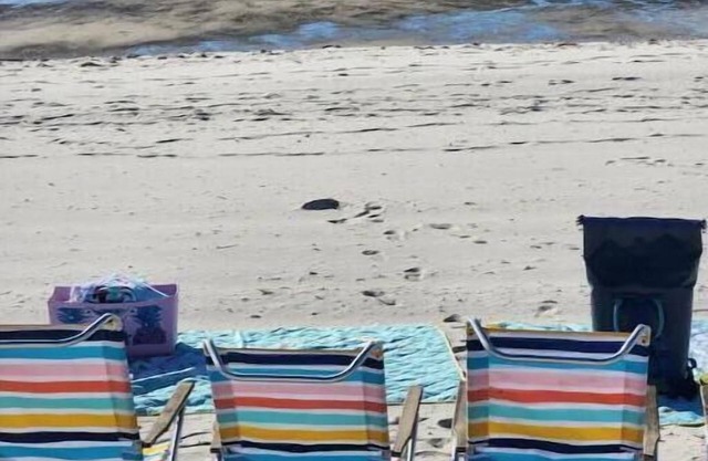 Mermaid Cove steps from beach. Hot Tub!