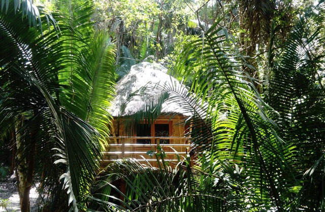 Ecolodge romántico en la jungla junto al mar