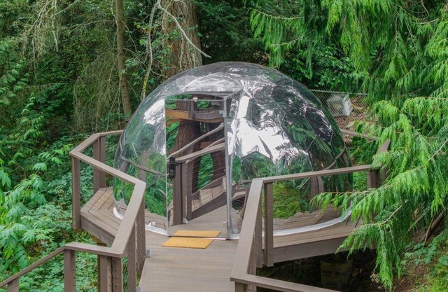 Mirror Dome · Reflective Luxury Glamping w/Hot Tub & Sauna in Forest Retreat