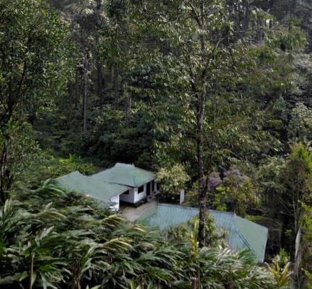 Mist Nest Cottages Munnar
