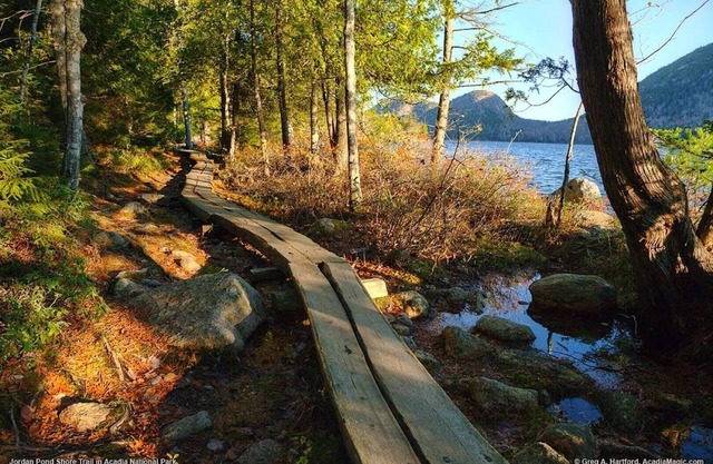 Blue Lobster - ¡Reserva ahora para los fines de semana de otoño Acadia!