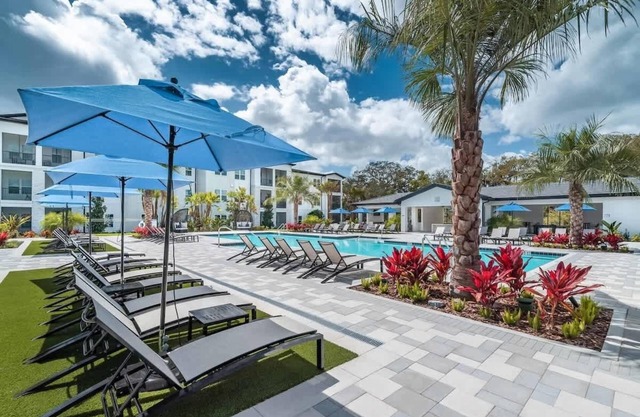 Modern King Suite, Resort Amenities & Pet-Friendly