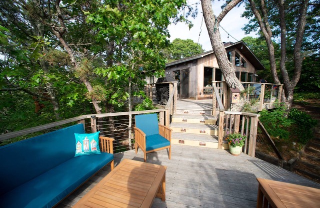 "Casa del árbol" moderna en Truro Hills