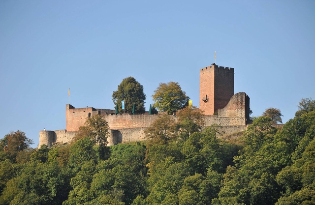 Modern holiday apartment in the heart of Klingenmünster