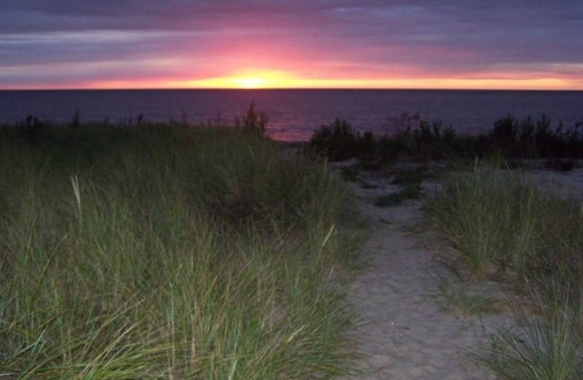 Moondoggies Digs Coastal Beach Cottage