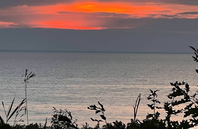 Moose Cabin at Blisswood Resort