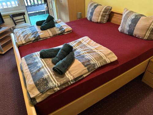 Motel Zur Festwiese
