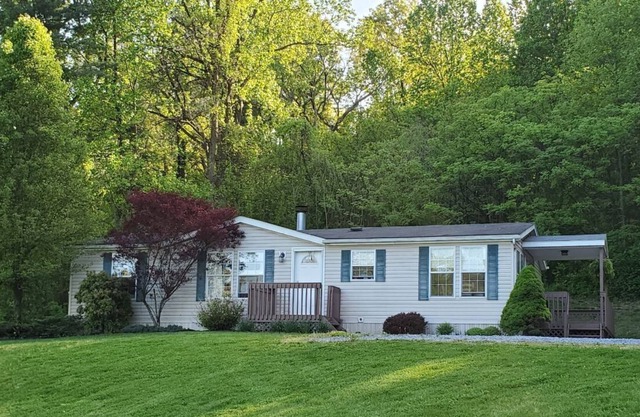 Mountain Home in Robesonia. Family friendly!