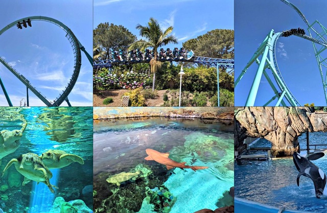 Mountain View 4-Bedroom House in Menifee, Spacious, Ranch-Style, 12 Guests Max